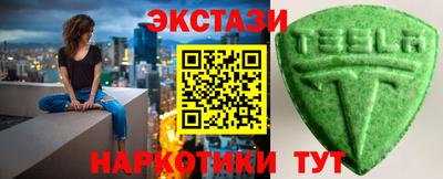 шишки Тара