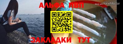 шишки Тара