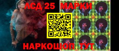 шишки Тара