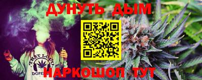 шишки Тара