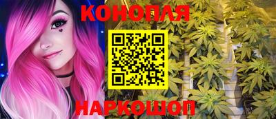 шишки Тара